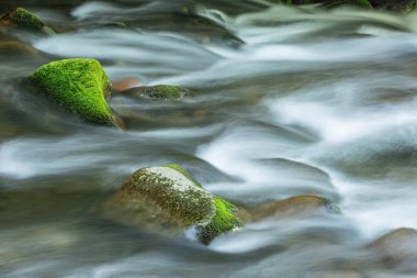 Oconaluftee Deresi 'nin bahar manzarası hareket bulanıklığıyla, Great Smoky Dağları Ulusal Parkı, Kuzey Carolina, ABD