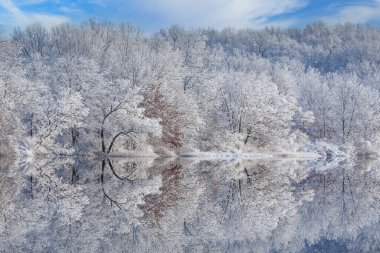 Jackson Hole Gölü kıyılarındaki kar manzarası sakin sularda yansıyan yansımalarla kaplı ağaçlar Fort Custer State Park, Michigan, ABD