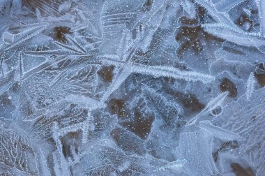 Donmuş bir su birikintisinin yakın çekimi Michigan Gölü kıyılarında bir buz deseni olduğunu gösteriyor Güney Haven, Michigan, ABD