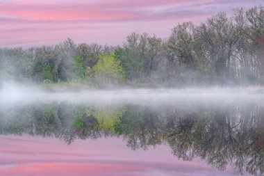 Derin gölün kıyı şeridinde ilkbahar manzarası sisli sularda yansıyan yansımalarla, Yankee Springs State Park, Michigan, Usa