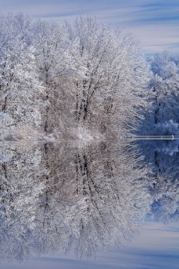 Jackson Hole Gölü kıyılarındaki kar manzarası sakin sularda yansıyan ağaçlarla kaplı Fort Custer State Park, Michigan, ABD
