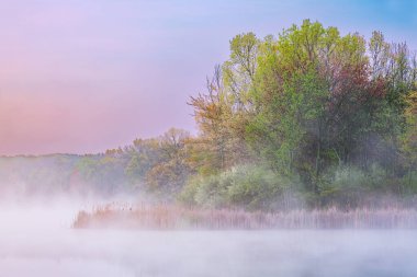 Fort Custer State Park, Michigan, ABD Whitford Gölü kıyılarının şafağında bahar manzarası
