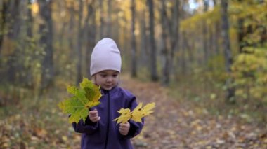 Güz ormanında akçaağaç yaprağının arkasına saklanan iki yaşında sevimli bir kız. Çocuklarla parkta yürümek.