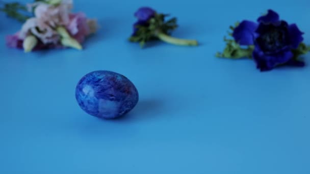Spinning Bemalte Eier Und Frühlingsblumen Auf Blauem Hintergrund Frohe Ostern — Stockvideo
