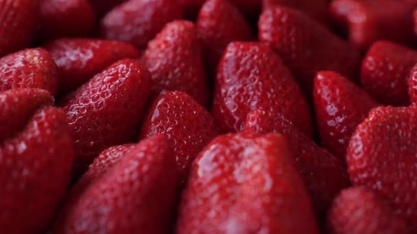 Deliciosas Fresas Rojas Maduras Grandes Rotación Gotas Agua Fondo Alimentos — Vídeos de Stock