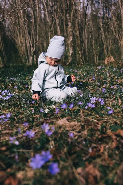 Kleines Mädchen Violetten Stiefeln Und Blauem Overall Sitzt Frühlingswald Mit — Stockfoto