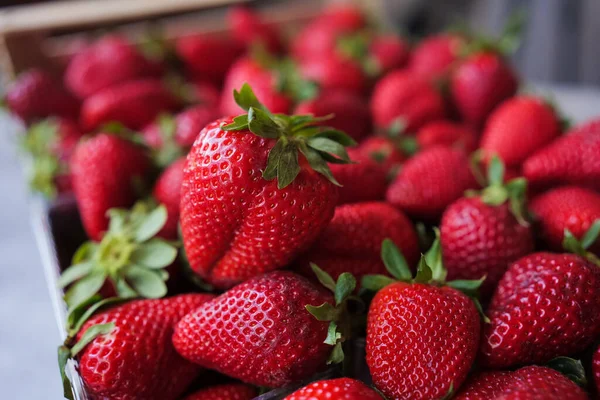Köstliche Große Reife Rote Erdbeeren Holzkiste Eine Beere Obenauf Früchte — Stockfoto