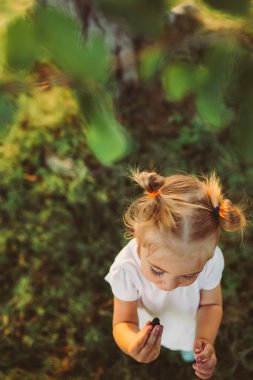 2 year old toddler girl eating ripe black mulberries straight from the branch. Healthy lifestyle, summer vacation.