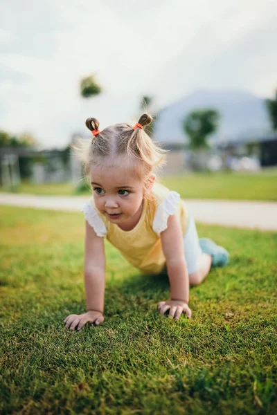 Adorable Years Old Playing Grass Outdoors Park Summer Time — Stock Photo, Image