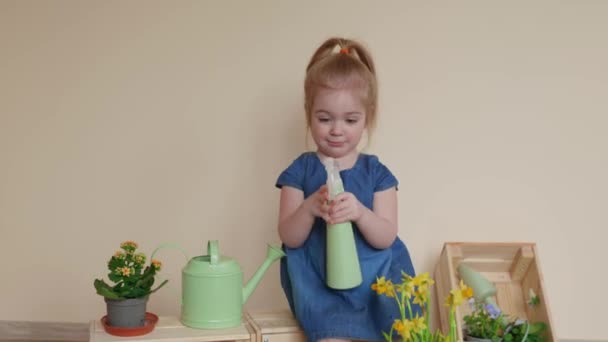 Urocza Zabawna Dziewczyna Spryskuje Domowe Rośliny Doniczkami Mała Dziewczynka Dbająca — Wideo stockowe
