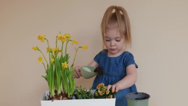 Adorable Girl Jeans Dress Adding Soil Transplanted Flowers Big Pot — Stock Video