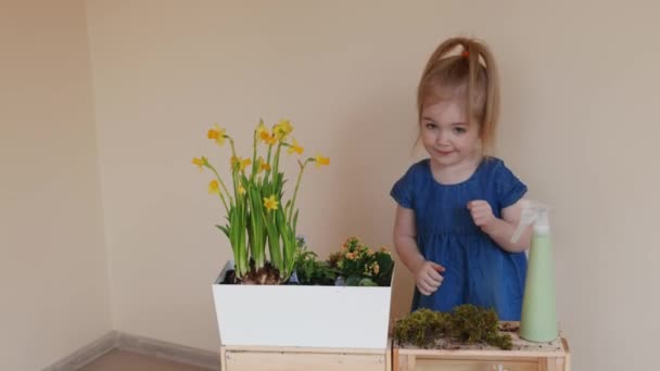 Aranyos Lány Farmerruhában Mohát Tett Nagy Cserépbe Ültetett Virágokhoz Kis — Stock videók
