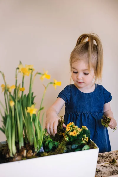 Rozkošná Dívka Džínách Šaty Dát Nějaký Mech Transplantované Květiny Velkém — Stock fotografie