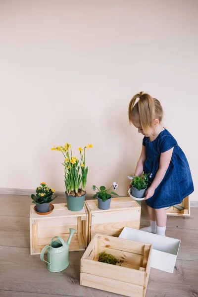 可爱的姑娘准备把花移植到大锅里去 在家里照顾植物的小女孩 母亲的年轻助手 — 图库照片