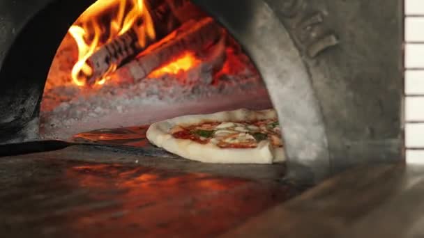 Chef Kok Gebruikt Een Pizzaschilletje Dat Een Pizza Roteert Haalt — Stockvideo
