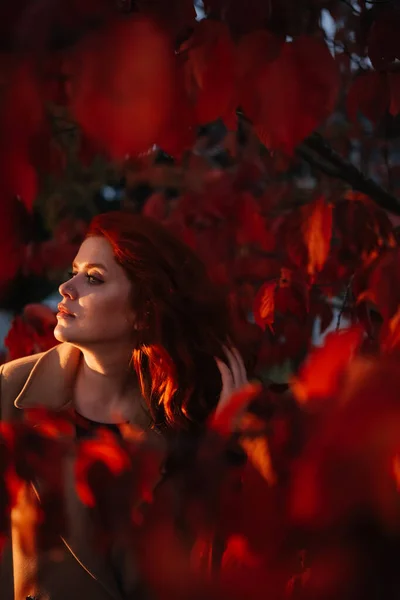 肖像画神秘的なファンタジー赤い髪の女性が赤い秋の木々の中に立って目を閉じた グラマラスな女性 赤い長い髪 秋の森 レンズフレア効果 — ストック写真