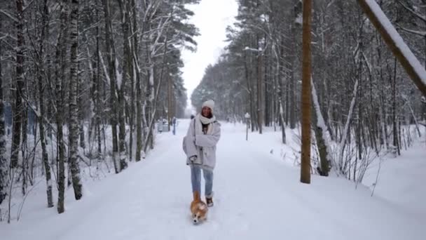 Happy Attractive Young Woman White Scarf Hat Mittens Walking Her — Wideo stockowe