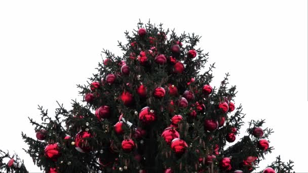 Головна Ялинка Міська Площа Прикрашена Червоними Кульками Підсвіченою Гірляндою Новий — стокове відео