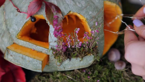 Kobieta Przygotowuje Dekoracje Jesienią Umieścić Lampki Led Dyni Domu Tworzenie — Wideo stockowe