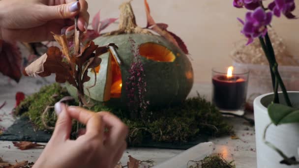 秋の装飾を準備し ブランチや葉から木を作って カボチャの家の近くに置く女性 カボチャから美しい秋のランタンを作ります ステップ14 — ストック動画