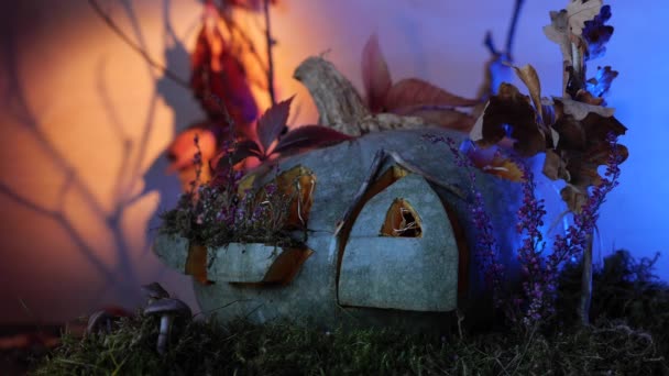Switching Fairy Pumpkin House Lights Beautiful Autumn Pumpkin Lantern Colourful — Stock Video