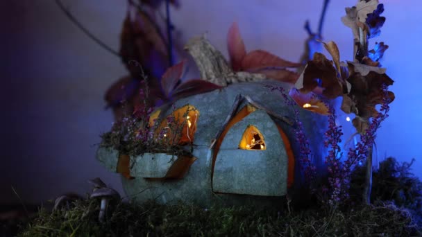ムーンは妖精のカボチャハウスの後ろに落ちる カラフルな稲妻で美しい秋のカボチャランタン — ストック動画