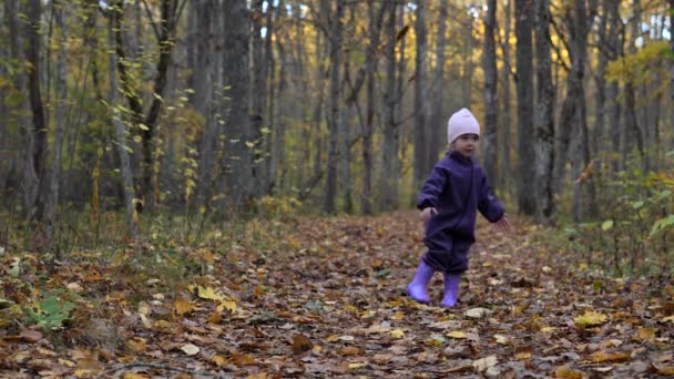 Urocza Dwuletnia Dziewczynka Wiruje Pod Opadającymi Liśćmi Jesiennym Lesie Spacer — Wideo stockowe
