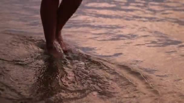 Primeros Planos Piernas Mujer Caminando Playa Arena Mujer Irreconocible Descalza — Vídeo de stock