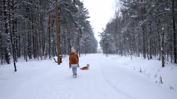 快乐迷人的年轻女子 戴着白围巾 头戴帽子 戴着手套 带着她那只湿透了的刺绣小狗在外面雪地的冬季森林里玩耍 — 图库视频影像