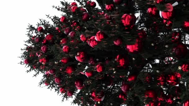 Main Christmas Tree Town Square Decorated Red Balls Illuminated Garland — Stock Video