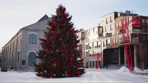 Grote Kerstboom Stadsplein Versierd Met Rode Ballen Verlichte Slinger Voor — Stockvideo