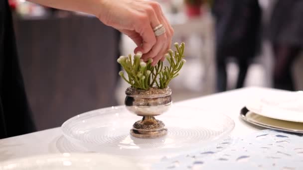 Vánoční Dekorace Stolu Žena Uvazuje Větve Jedlí Malé Vázy Detailní — Stock video