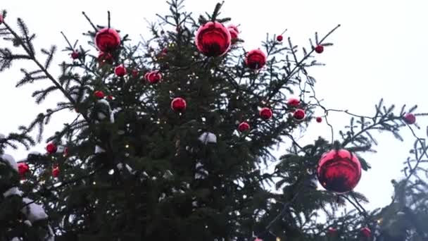 Estonsko Talin Prosince 2023 Coca Cola Vánoční Ozdoby Visící Vánočním — Stock video