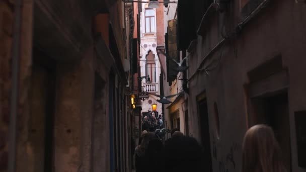 Venice Itália Fevereiro 2024 Vista Rua Veneza Lotada Turistas Durante — Vídeo de Stock
