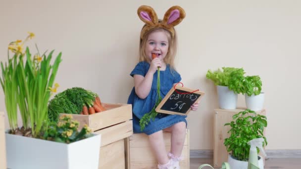 复活节那天 可爱的小女孩戴着小兔子耳朵 3岁的小女孩吃着甜胡萝卜 健康的吃着 — 图库视频影像