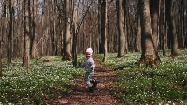 森で逃げ出した小さな3歳の少女は 森の花の花束で白いアネモンで覆われていました ハッピー チャイルド — ストック動画