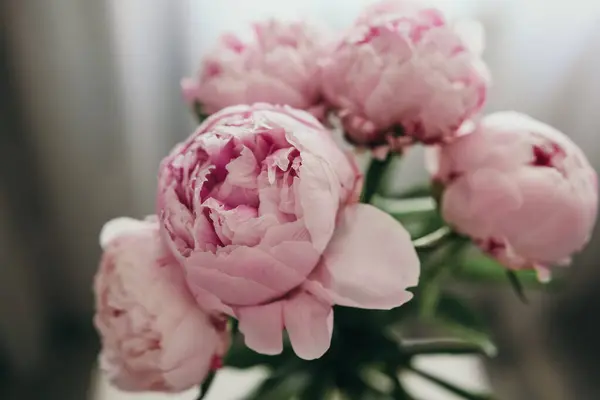 Szekrény Gyönyörű Rózsaszín Bazsarózsa Csokor Szürke Háttér Otthon Stock Kép