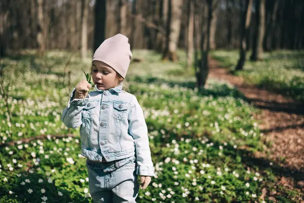 春の森でアネモネの花を拾うジーンズジャケットで愛らしい3歳の少女の肖像画 ハッピー チャイルド ストックフォト