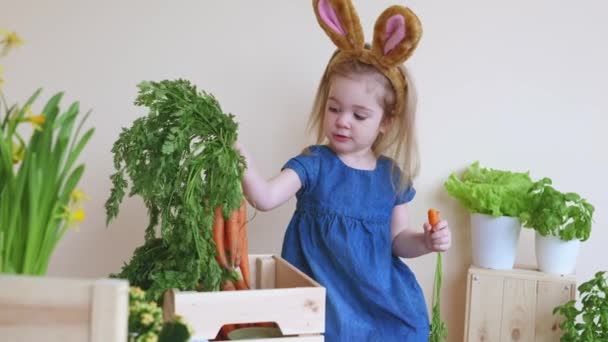 Cute Little Girl Dziecko Nosi Uszy Króliczka Siedzi Wokół Drewnianych — Wideo stockowe