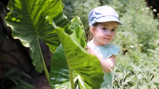 Gadis Manis Bersembunyi Balik Tanaman Dengan Daun Lebar Taman Menjelajahi — Stok Video