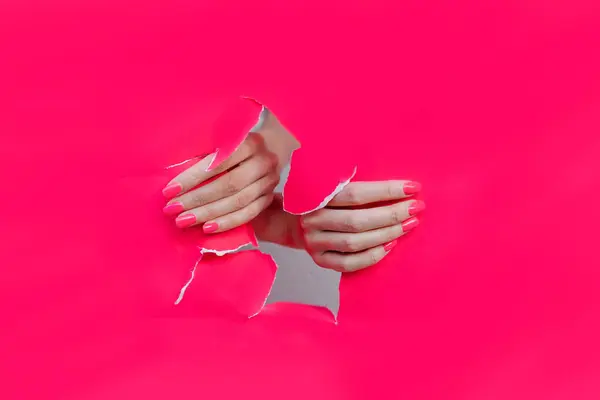 ピンクの紙の穴の美しいピンクのマニキュアの釘が付いている女性の手 ストックフォト