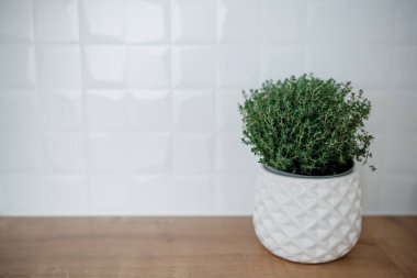 Mutfakta taze kekik ve esrar var. İskandinav tarzı, mutfaktaki otlar.