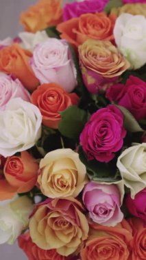 Çok renkli güllerin buketi fırıl fırıl dönüyor. Beyaz arkaplanda dönen güzel çiçek buketi, yakın plan görünümü