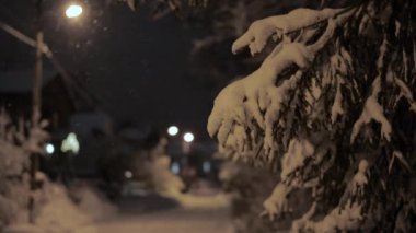 Sessiz bir gece sahnesi, ışıldayan sokak lambaları ve donmuş ağaçlarla karla kaplı bir caddeyi yakalıyor. Yolda yürüyen bir çift.