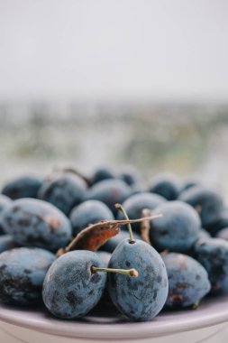Olgun erik koleksiyonu bir tabakta ustalıkla düzenlenir. Yazın canlı renklerini sergiler..