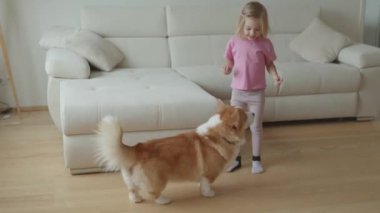 Genç bir kız Corgisiyle etkileşime geçiyor, ona yeni numaralar öğretiyor, parlak, hoş geldin oturma odasında..
