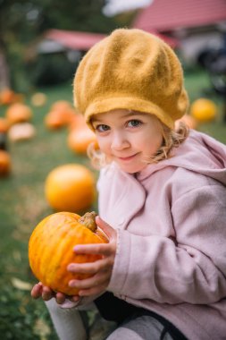 Kıvırcık saçlı bir çocuk, balkabağı tarlasında bir sürü çocukla birlikte balkabağı tutar..