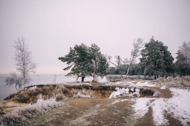 Buz kaplı ağaçlar, sakin bir gölün kıyısında, şafak vakti huzurlu bir kış manzarası yaratıyor..