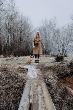 Beyaz atkısı, şapkası ve eldivenleri olan mutlu çekici genç kadın Galli Corgi pembroke köpeğiyle yürüyor, karlı kış 