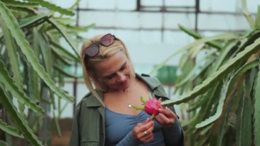 Bir kadın, canlı bir ejderha meyvesini serada yemyeşil bitkilerle çevriliyken inceliyor..